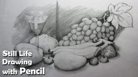 How to Draw A Still Life Fruits in Pencil Step by step