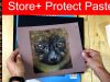 How to store and protect pastel drawings and paintings Jason Morgan wildlife art