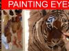 Painting a Tiger39s Eyes Oil painting tutorial lesson Jason Morgan wildlife art