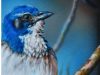 Speed painting Jay Bird airbrush and acrylic photorealistic Time Lapse tutorial by Lachri