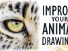 Tips for Drawing REALISTIC ANIMALS Get Better with Colored Pencil