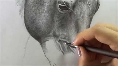 Horse Drawing pencil ART