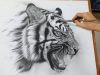 drawing pencil process to draw a tiger by TOTO MS