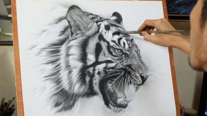 Drawing Paper Recommended for Realistic Pencil Drawing 