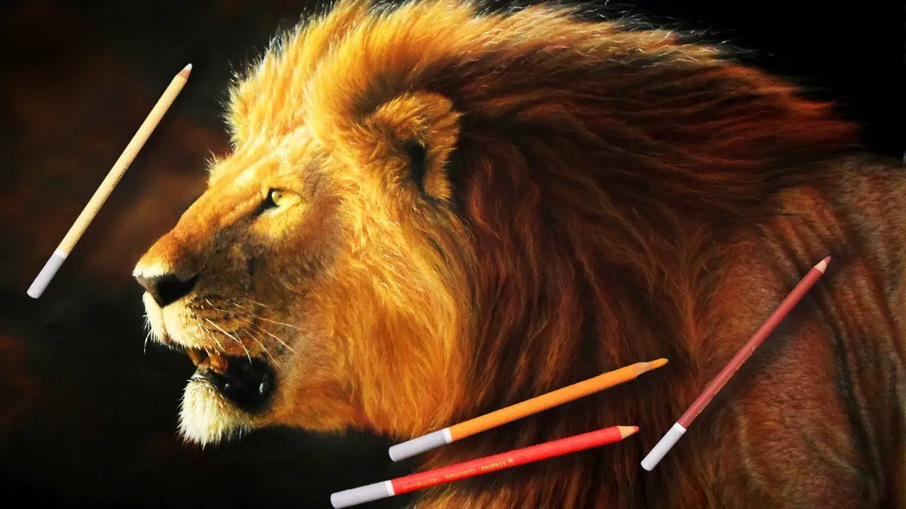 how to draw a realistic lion step by step in pencil