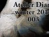 Atelier Diary GETTING TEXTURES
