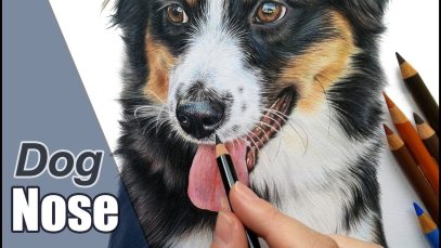 Colored pencil tutorial How to draw a dog nose