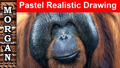 Drawing long fur hair pastel pencils PanPastel soft pastel
