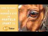 How to Paint a Horse39s Eye in Soft Pastels Part 1