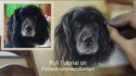 Paint Fur and Backgrounds in Pastel Timelapse