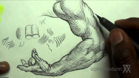 Pen amp Ink Drawing Tips How add crosshatching to an arm