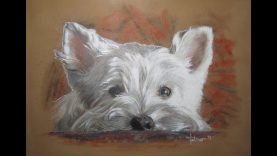 Speed painting Westie in acrylics and colored pencil