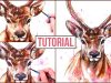 Watercolour Painting Tutorial How to Paint a Stag Step by Step