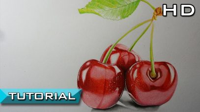 How to Draw Cherries with Colored Pencils Step by Step Realistic Drawing Tutorial