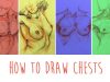 How to Draw Chests 5 SIMPLE LINES of the pectoral muscle