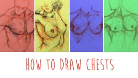 How to Draw Chests 5 SIMPLE LINES of the pectoral muscle