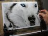 Painting Wolf Airbrush Wolf