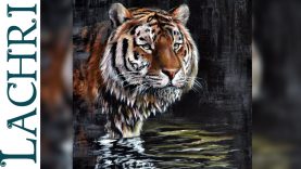 Speed Painting a tiger in Acrylic Time Lapse Demo by Lachri
