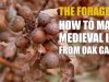 The Foragers How to make medieval ink from Oak Galls