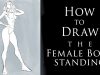 How to Draw the Female Body in a Standing Pose Exaggerated Proportions