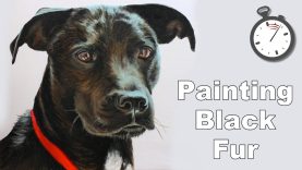 How to Paint Black Hair Dogs in Oil Time Lapse
