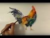 Watercolor Animals Painting Chicken Paint