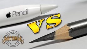 Apple Pencil VS A Real Pencil Artismia Drawing iPad Pro amp Paper by 53