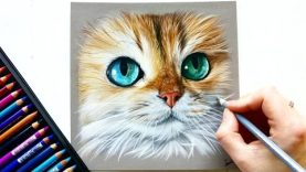 Drawing a photorealistic cat portrait with pastel pencils Leontine van Vliet