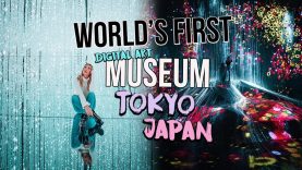 WORLD’S FIRST DIGITAL ART MUSEUM teamLAB Borderless TOKYO JAPAN