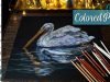 Colored Pencil blending layering and tips on black paper Lachri