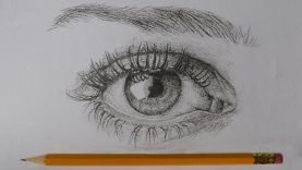 Drawing an Eye using a CHEAP PENCIL Realistic Challenge