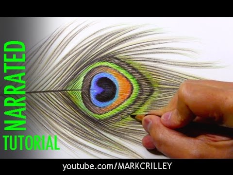 How to draw a Peacock feather in Pastels… Free Art Tutorial. - Dave  Porter's Art