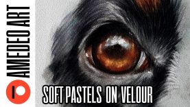 How to draw a dog39s eye with soft pastels on velour paper easy step by step tutorial