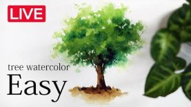 Easy Coloring Trees lesson How to Paint A Tree with Watercolor 수채화 기초