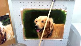 Retriever oil portrait painting by Fernando Olea underpainting to glazing step by step