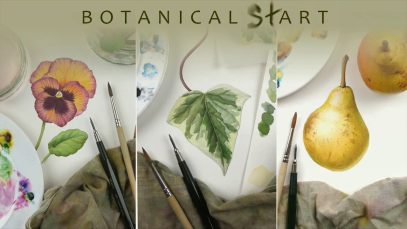 Watercolour techniques used for botanical art