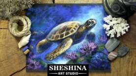 How to draw a Sea Turtle with soft pastels