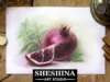 How to draw a pomegranate with soft pastels