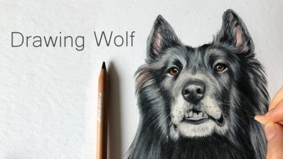 Drawing Wolf with Colored Pencils