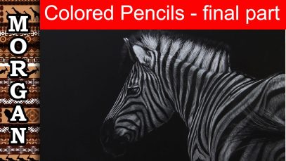 Polychromos Colored Pencils Excerpts 