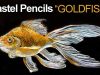 Pastel Pencils on Black Paper Goldfish