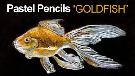 Pastel Pencils on Black Paper Goldfish