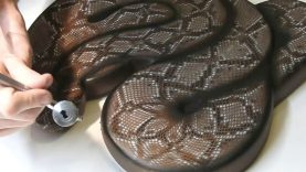 Airbrushing Tutorial Snakeskin