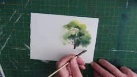 How To Paint A Simple Tree In Watercolour