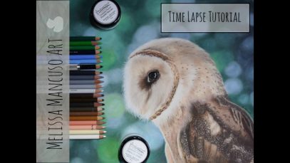 Owl in Colored Pencil with Powder Blender Melissa Mancuso Art