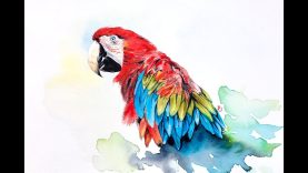 Watercolor Macaw Painting Demonstration