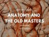 Anatomy amp The Old Masters Pontormo