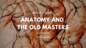 Anatomy amp The Old Masters Pontormo