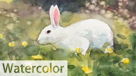 Animals 25 Watercolor Painting of a Rabbit Happy Easter