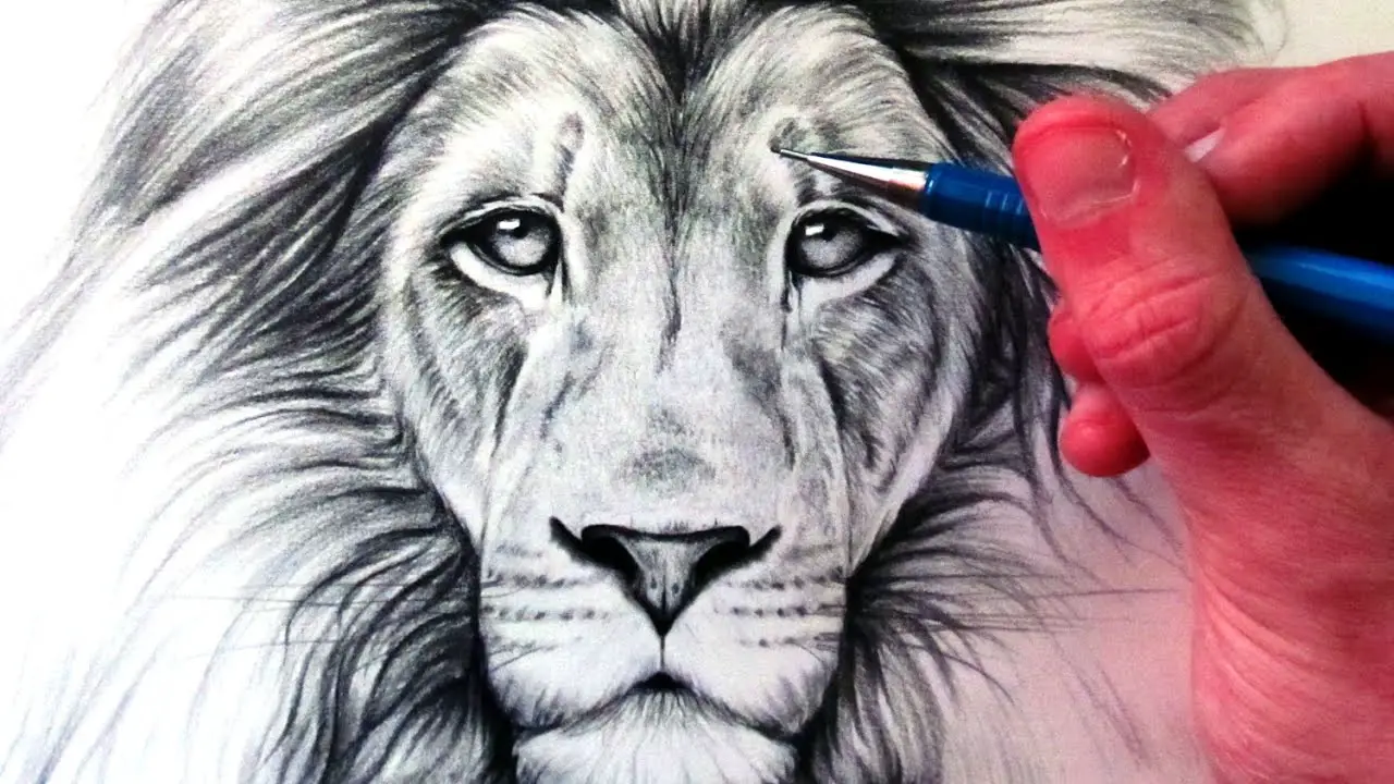 lion realistic drawing by nadyaaart on DeviantArt-saigonsouth.com.vn